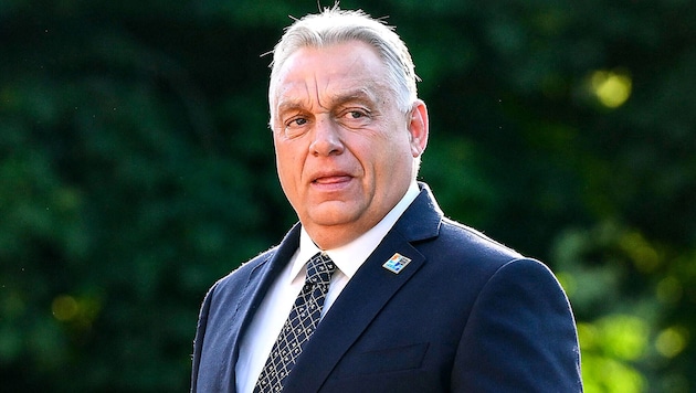 Kein Beitritt für die Ukraine: Ungarns Ministerpräsident Viktor Orbán will verhindern, „dass die ...