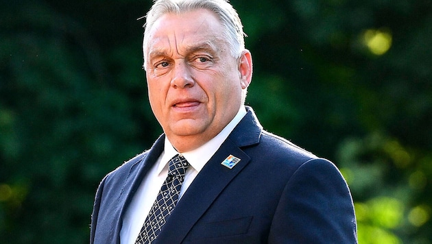 Kein Beitritt für die Ukraine: Ungarns Ministerpräsident Viktor Orbán will verhindern, „dass die ...