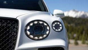 Bentley, Maserati, Rolls Royce oder Aston Martin: Der Unternehmer handelte in Kärnten und Wien ...