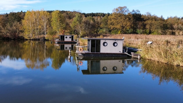 Bei einer Nächtigung im Hausboot können verschiedene Tiere beobachtet werden.