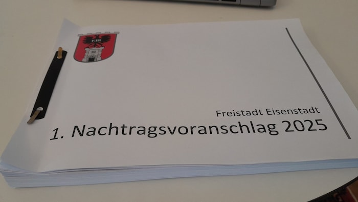 Der Nachtragsvoranschlag für das heurige Jahr.