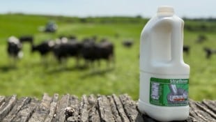 Zweites Leben: Diese Milchflasche wird zu lebensmitteltauglichem Regranulat verarbeitet.