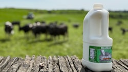 Zweites Leben: Diese Milchflasche wird zu lebensmitteltauglichem Regranulat verarbeitet.