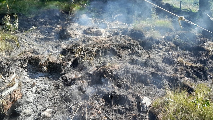 Mehrere Feuer brachen in schwer erreichbarem Gelände aus.