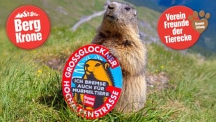 Die Murmeltiere nehmen mit der „Kronen Zeitung“ Haltung ein –für ein respektvolles Miteinander ...