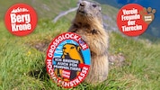 Die Murmeltiere nehmen mit der „Kronen Zeitung“ Haltung ein –für ein respektvolles Miteinander ...