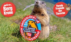 Die Murmeltiere nehmen mit der „Kronen Zeitung“ Haltung ein –für ein respektvolles Miteinander ...