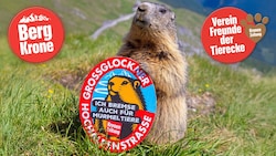 Die Murmeltiere nehmen mit der „Kronen Zeitung“ Haltung ein –für ein respektvolles Miteinander ...