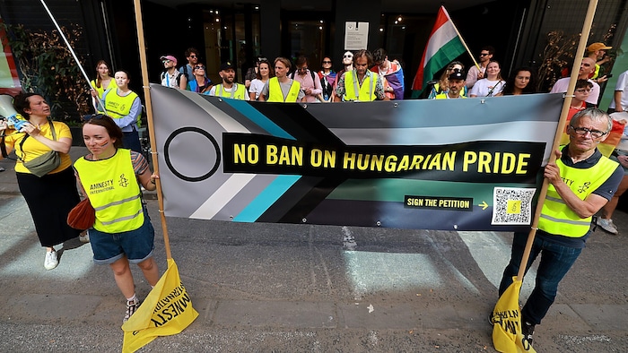 Internationale Aktivisten – darunter auch zahlreiche EU-Abgeordnete – protestieren gegen das ...