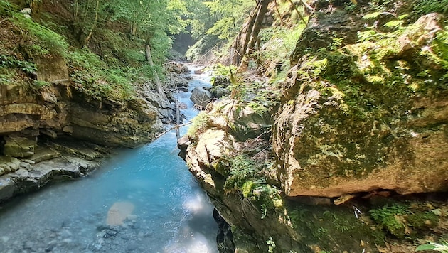 Die Meng hat sich in Nenzing tief in den Fels eingegraben und eine spektakuläre Schlucht ...