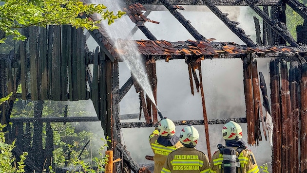 30 Feuerwehrleute bekämpften den Brand im Museum