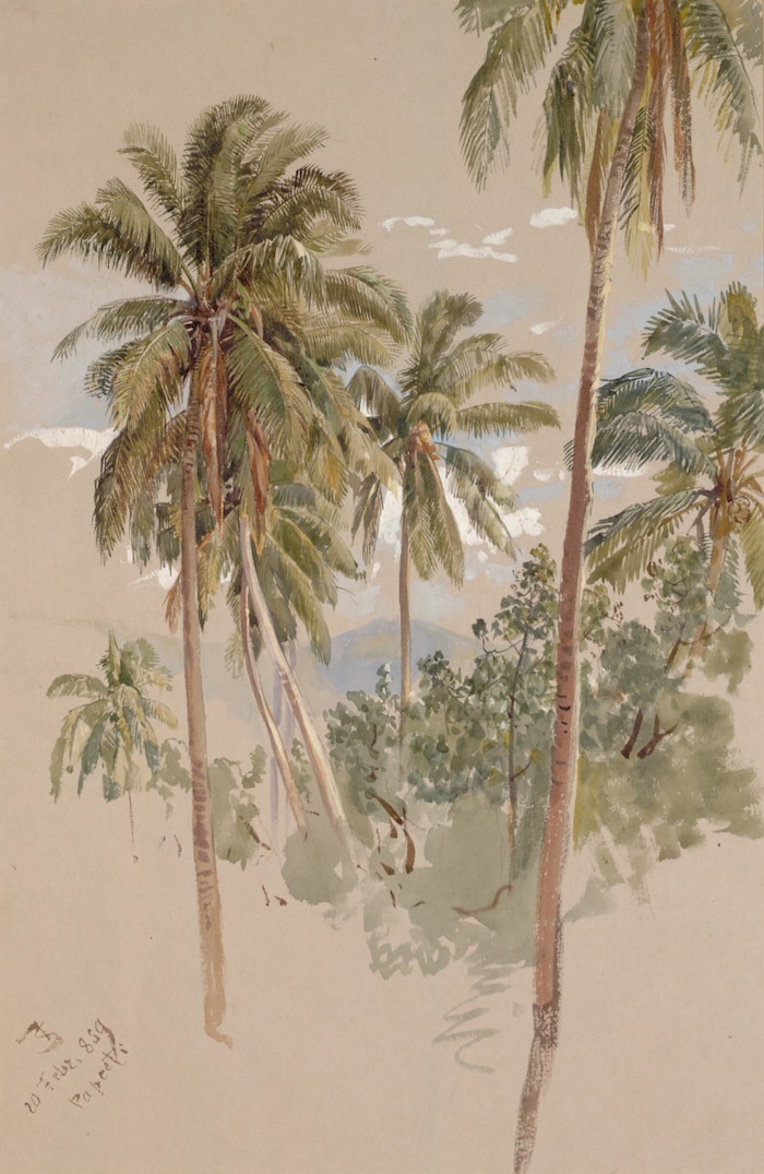 Josef Selleny: Kokospalmen auf Tahiti, 1859