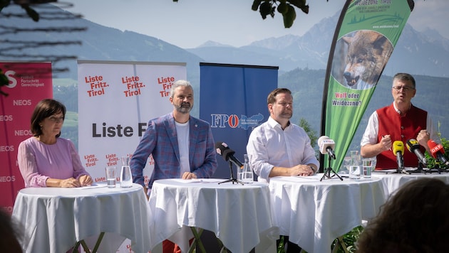 Birgit Obermüller (NEOS), Markus Sint (Liste Fritz), Markus Abwerzger (FPÖ) und Weidezone-Obmann ...