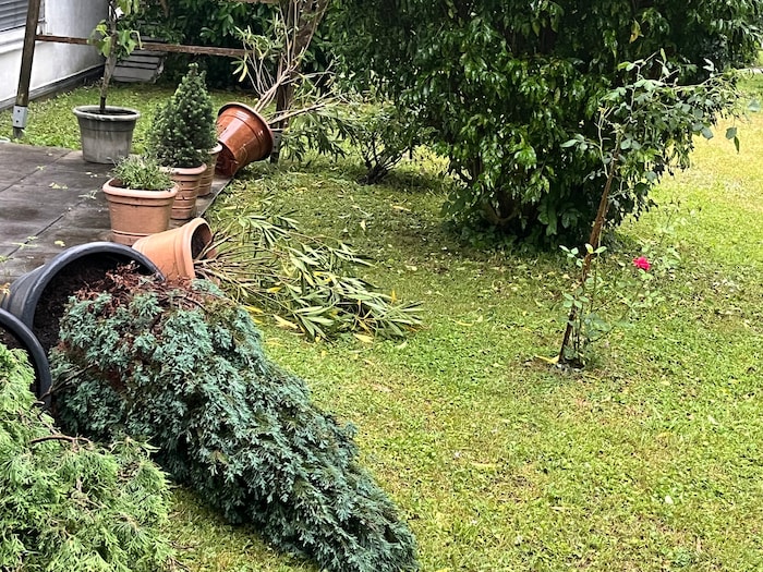 Blumentöpfe fielen um...