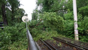 In Graz verlegten Bäume die Linie 1