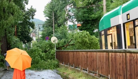 Am Freitagabend sind in mindestens vier Bundesländern Gewitter zu erwarten (Symbolbild).
