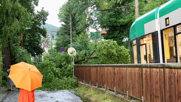 Am Freitagabend sind in mindestens vier Bundesländern Gewitter zu erwarten (Symbolbild).