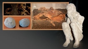 Steine aus Pompeji, Erde aus Moorgebieten, „Ballista Balls“ und Co.: So mancher Legende nach ...