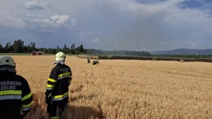 Die elf Feuerwehren konnten den Brand löschen.