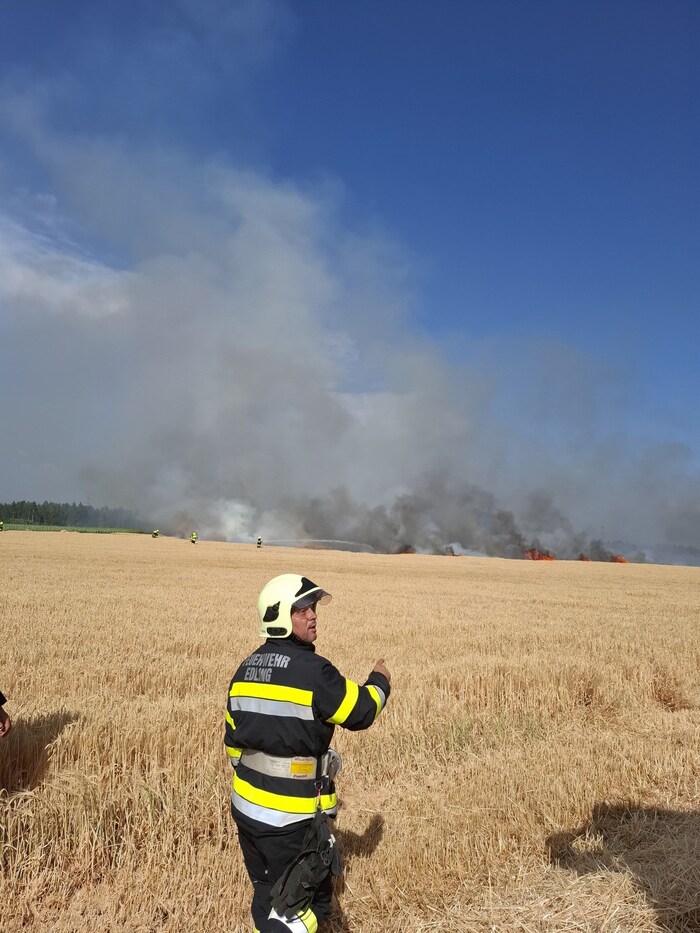 Vier Hektar brannten ab.