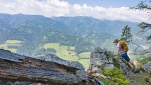 Einer der Höhepunkte ist der lohnende Ausblick vom Rittersteig ins Liesingtal und zu den ...