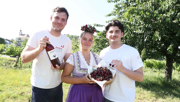 Michael Liegenfeld, die neue Kirschenkönigin Hanna Jenny und Petar Sommer von den Organisatoren ...