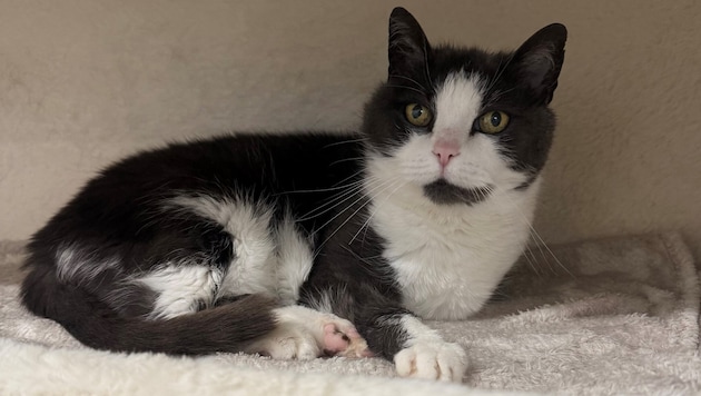 Die anfangs etwas schüchterne Leila.