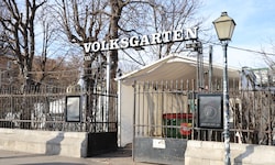 Nach einem Besuch im „Volksgarten“ fuhren die beiden zusammen zum Angeklagten. Dort sei die ...