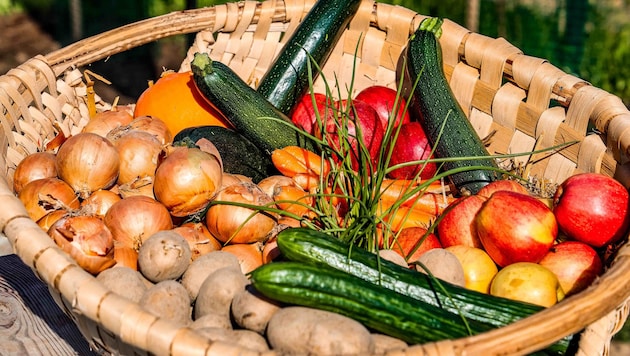 Überschüssiges Obst für den guten Zweck. Die Volkshilfe Burgenland hat zur Lebensmittelrettung ...