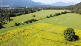 Die Stadt will eine Umwidmung der Felder in Industriegebiet.