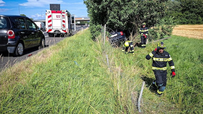 Die freiwilligen Helfer bei ihrem ungewöhnlichen Einsatz
