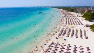 Nicht alle Urlauber haben auf der spanischen Insel Mallorca Liegen und Sonnenschirme zur ...