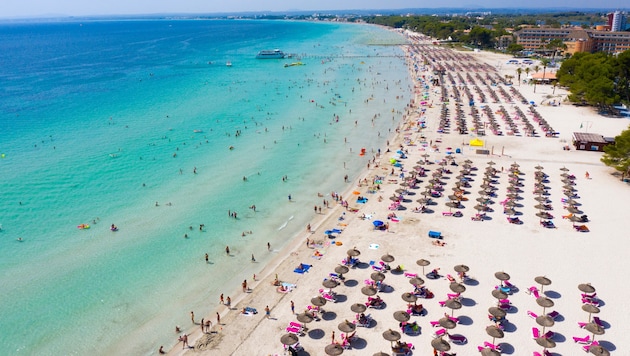 Nicht alle Urlauber haben auf der spanischen Insel Mallorca Liegen und Sonnenschirme zur ...