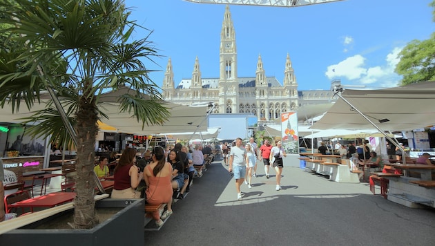 Schattige Plätzchen gibt es am Rathaus- platz nun zuhauf.