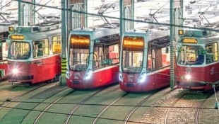 Alles wartet darauf, wann die Wiener Linien die Katze aus dem Sack lassen.