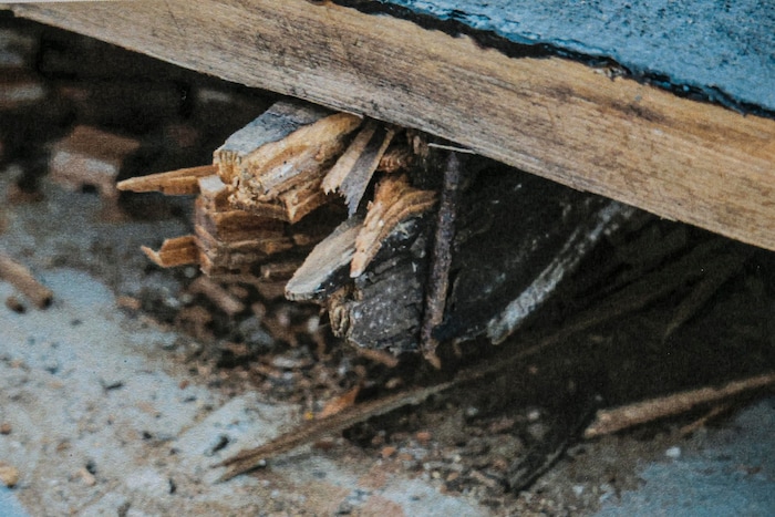 in Holzdachträger ist komplett morsch.