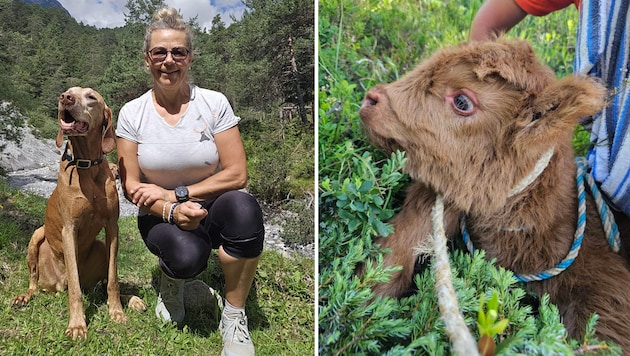 Suchhund „Levi“ von Manuela Deutschmann spürte das Kälbchen auf, das die Retter „Striezi“ ...