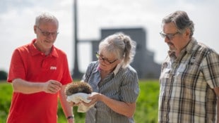 Igel „Willi“ mit Adele und Gerhard Sterkl und Stefan Zach von der EVN bezieht Quartier am Areal ...