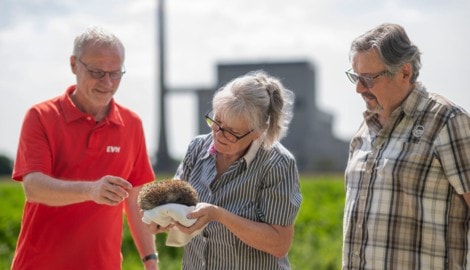 Igel „Willi“ mit Adele und Gerhard Sterkl und Stefan Zach von der EVN bezieht Quartier am Areal ...