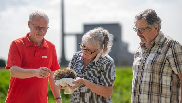 Igel „Willi“ mit Adele und Gerhard Sterkl und Stefan Zach von der EVN bezieht Quartier am Areal ...