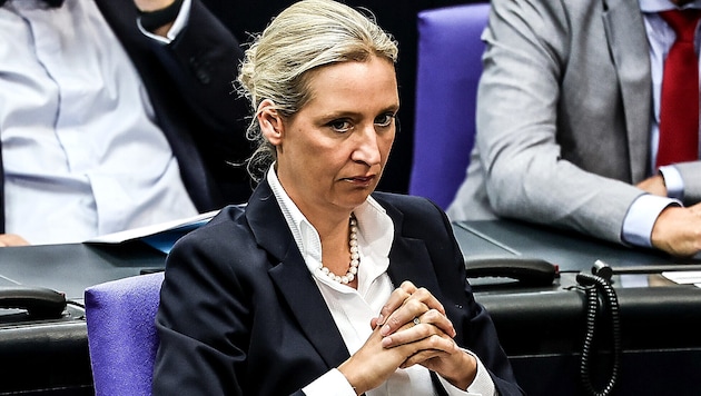 AfD-Vorsitzende Alice Weidel