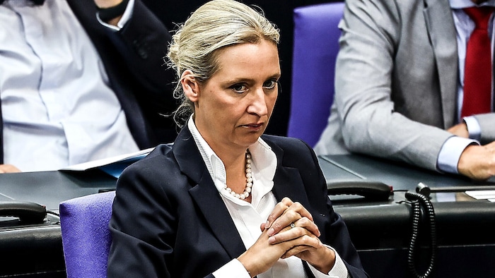 Wird die Truppe rund um Parteichefin Alice Weidel verboten? Die SPD will nun ein ...