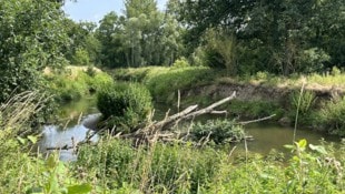 Auch in Naturschutzgebieten wird es künftig einfacher sein Vorhaben umzusetzen