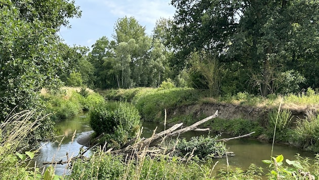 Auch in Naturschutzgebieten wird es künftig einfacher sein Vorhaben umzusetzen