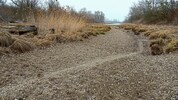 Der Rang der Lobau als Naturjuwel, Nationalpark und Naherholungsgebiet ist zusehends in Gefahr.