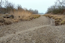 Der Rang der Lobau als Naturjuwel, Nationalpark und Naherholungsgebiet ist zusehends in Gefahr.
