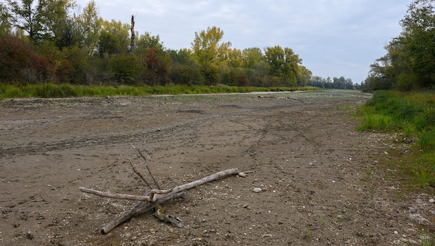 Der Rang der Lobau als Naturjuwel, Nationalpark und Naherholungsgebiet ist zusehends in Gefahr.