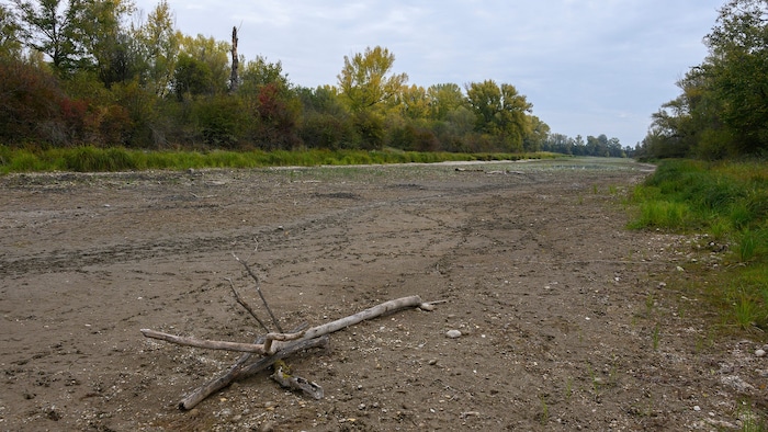 Die Untere Lobau ist akut von Austrocknung bedroht. Zur ökologischen Verbesserung des ...