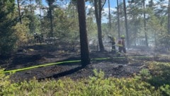 Der Waldbrand sorgte für einen Großeinsatz der Feuerwehr.