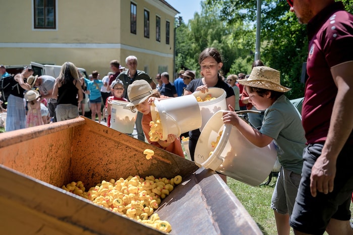 Vor dem Start befüllen die Kinder die Schaufel mit 7000 kleinen gelben Enten.